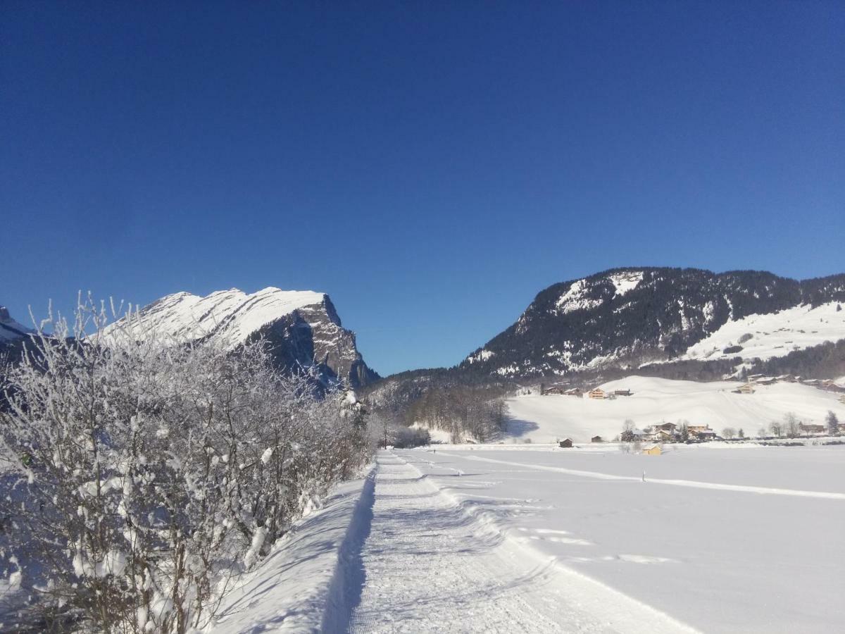 Gaestehaus Pfandl Au (Vorarlberg) エクステリア 写真
