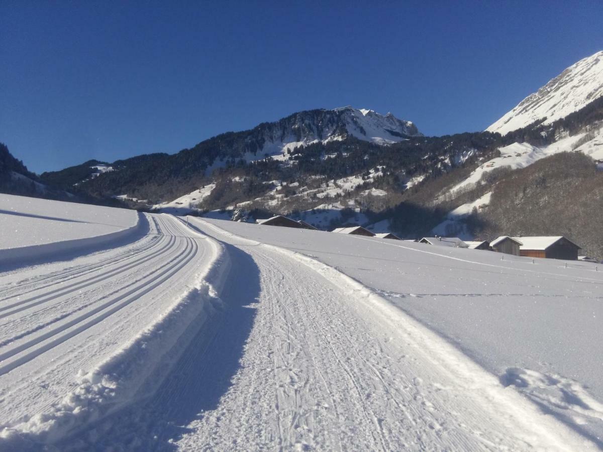 Gaestehaus Pfandl Au (Vorarlberg) エクステリア 写真